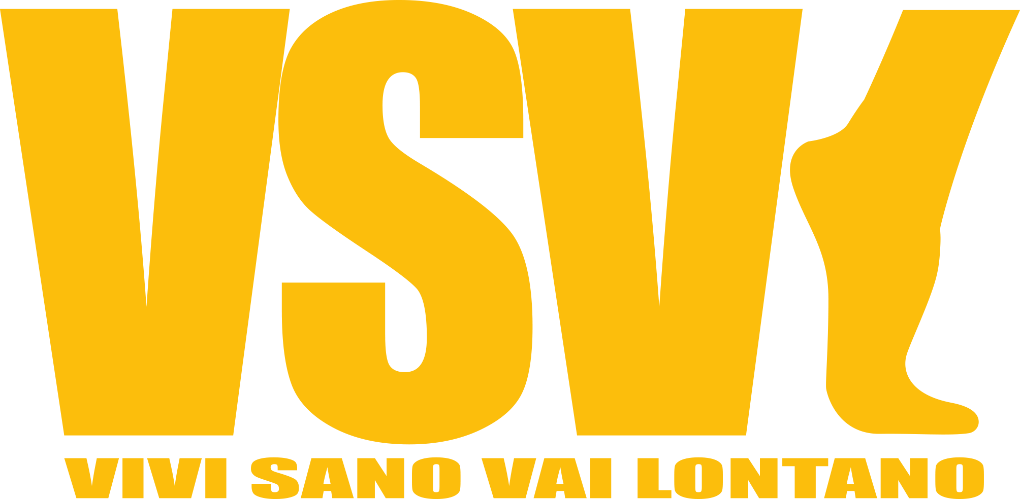 VSVL LOGO
